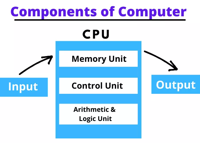 Components of computer system