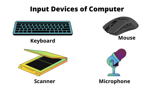 Input Function - Input Device of Computer