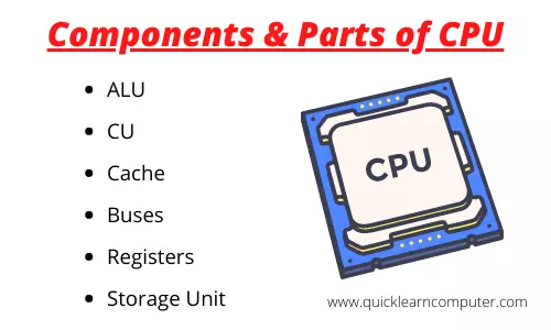 Components And Parts Of CPU.webp