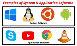 11 Examples of Software | What is Software?